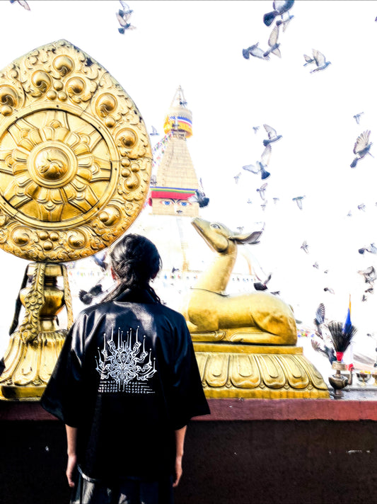 visions in Bouddha